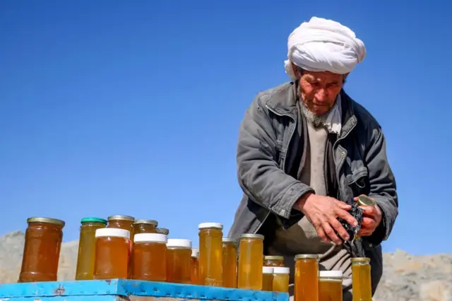 کارپوهان وايي چې د افغانستان غرنی چاپیریال او په پراخه طبعیت کې له کیمیاوي سرې او مصنوعي کرنیزو توکو پاک بوټي، د طبیعي شاتو د تولید لپاره یوه مناسبه زمینه برابروي.