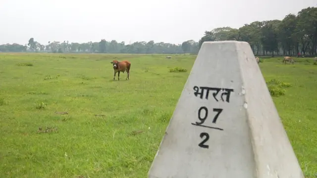 खुला सिमानाबाट पशु चौपाया भारतबाट नेपाल र नेपालबाट फेरि भारत लग्ने गरेको पाइएको छ