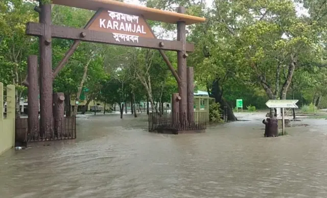 পাঁচ ফুট পানির নিচে তলিয়েছে সুন্দরবন