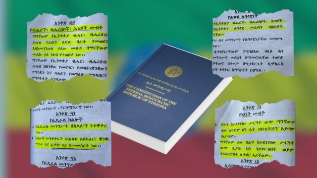 ሕገ መንግስትና የተወሰዱ አንቀጾች