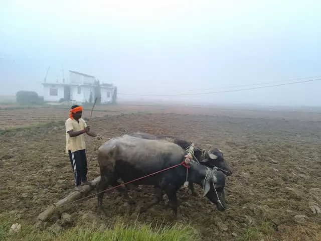 सुर्खेतको रानीघाटमा बसाइ सरेर आएका राउटे समुदाय