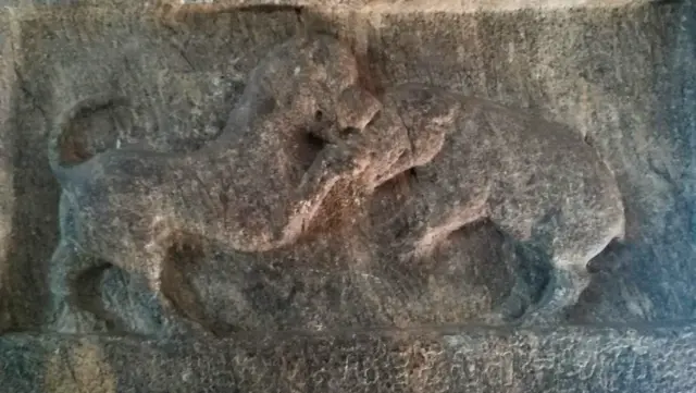  வீர நாய் காளி