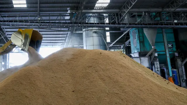 धानको रास