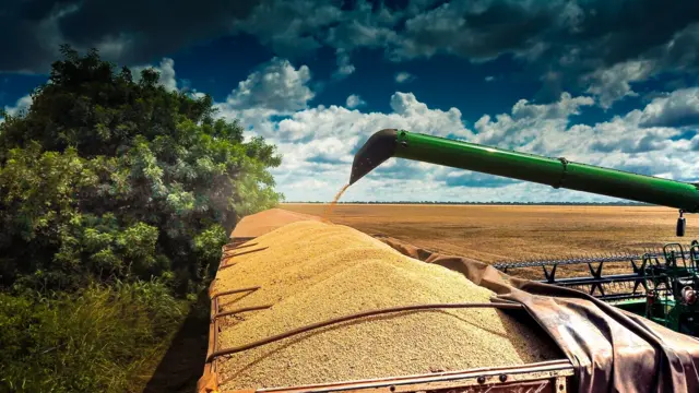 Colheitadeira agrícola colhendo soja. Lucas do Rio Verde, Mato Grosso, Brasil.