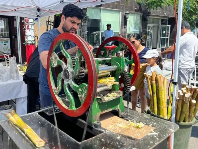 શેરડીથી શું લાભ થાય, શેરડીથી દાંત પેટ આંતરડાને શું લાભ થાય, શેરડી અને ડાયાબિટીસ, ડાયાબિટીસવાળાએ શેરડીનો રસ કે ગંડેરી ખવાય, બીબીસી ગુજરાતી