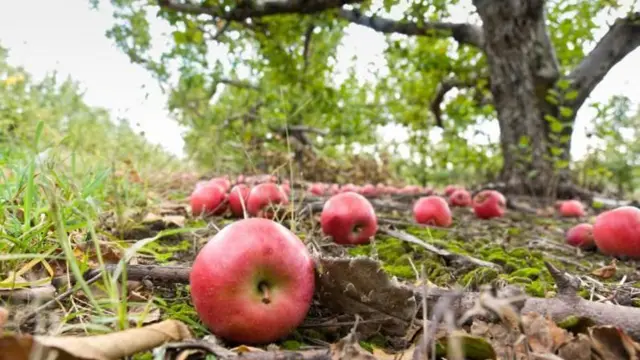 பூமி ஆயிரக்கணக்கான கிலோமீட்டர் வேகத்தில் சுழன்றாலும், நாம் ஏன் அதை உணர்வதில்லை
