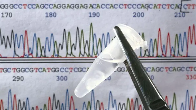 Análisis del genoma humano 