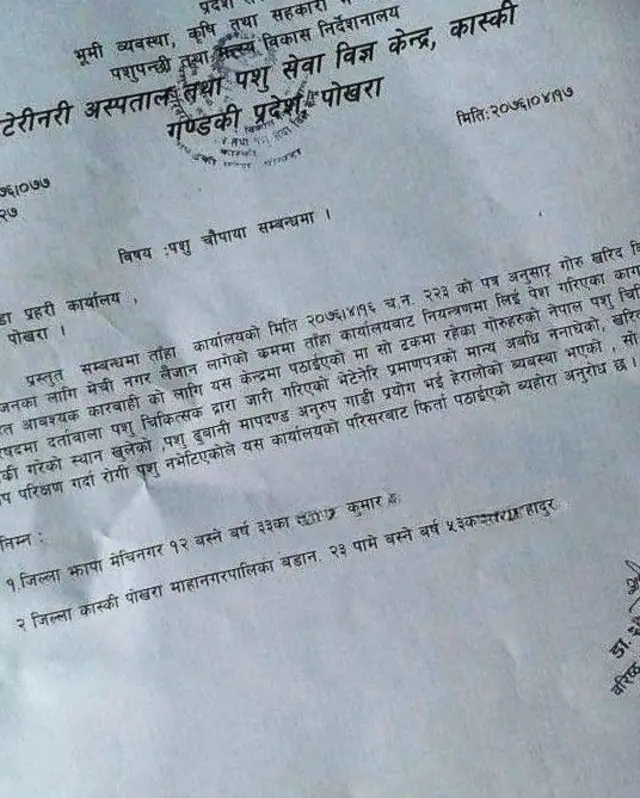 अनुमति पत्र