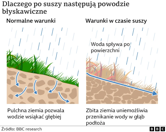 Grafika przedstawiająca dlaczego dochodzi do powodzi błyskawicznych