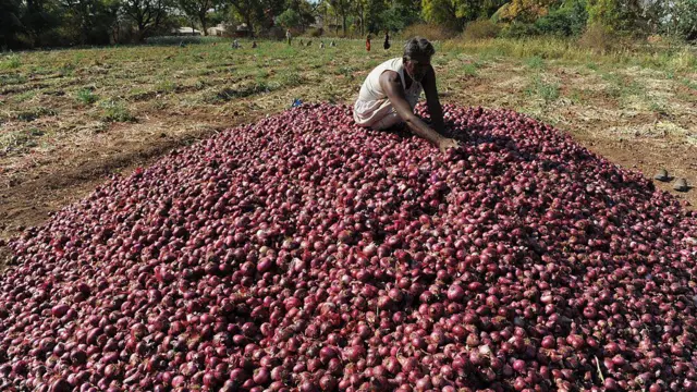 प्रातिनिधिक फोटो