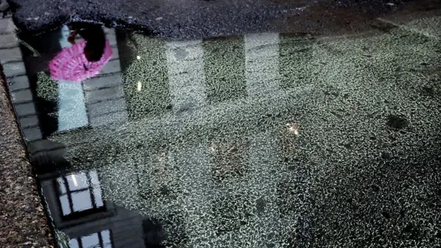 astma, alergija, polen, klimatske promene, ambrozija