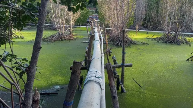 Pipa pembuang limbah dari tambak udang ilegal yang dialirkan ke laut.