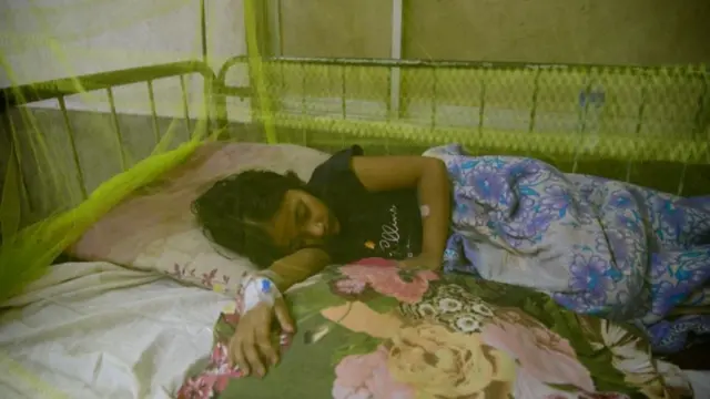 ২০২৩ সালে ডেঙ্গুতে মৃত্যু গত ২৩ বছরের মোট মৃত্যুর দ্বিগুণ