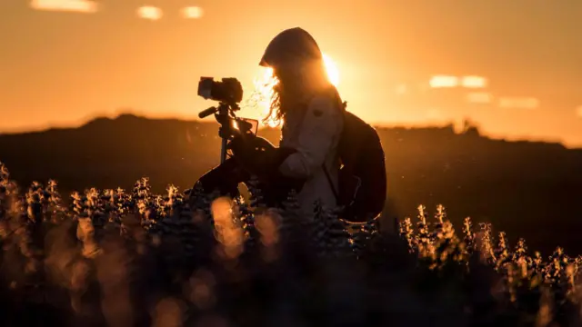 ஹேமா கமிட்டி எதிரொலி: 'தமிழ் சினிமாவின் மோசமான பக்கம்' - அனுபவங்களை பகிரும் பெண் கலைஞர்கள்