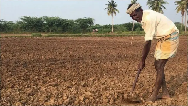 అమెరికా నిధులు, ట్రంప్ పన్నులు, ఆంధ్రప్రదేశ్, తెలంగాణ