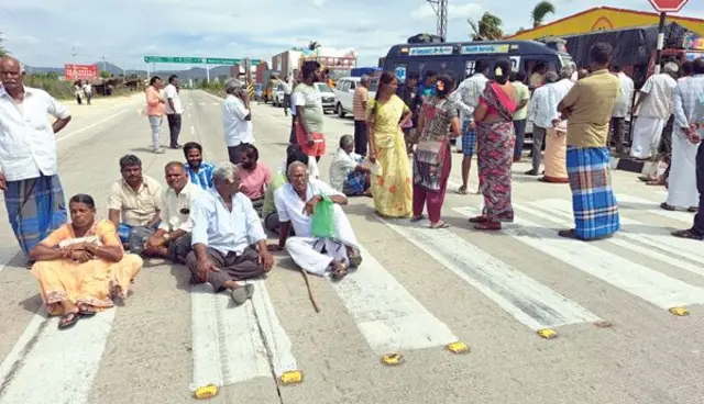 తోతాపురి మామిడి, చిత్తూరు, అన్నమయ్య జిల్లా, కర్ణాటక, తమిళనాడు, మామిడి ఎగుమతులు, పంట దిగుబడి, మామిడి రైతులు