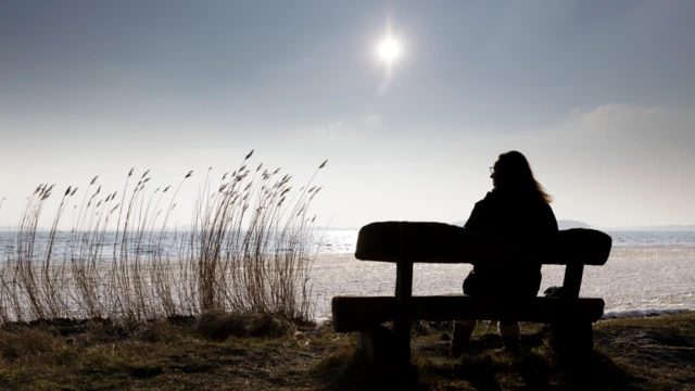 రతన్ టాటా, స్నేహం, కుటుంబం, నిహారిక ట్రస్ట్, జెమినీ టీవీ, జూనియర్ ఎన్టీఆర్, డైరెక్టర్ తేజ, బెంగళూరు, హైదరాబాద్