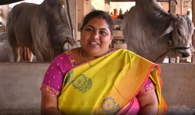 બીબીસી ગુજરાતી, ગુજરાત, બીબીસી, અમદાવાદ, બળદ, પ્રાણી, એ મહિલા જેની દરેક 'વાત ખૂંખાર બળદો માને છે'