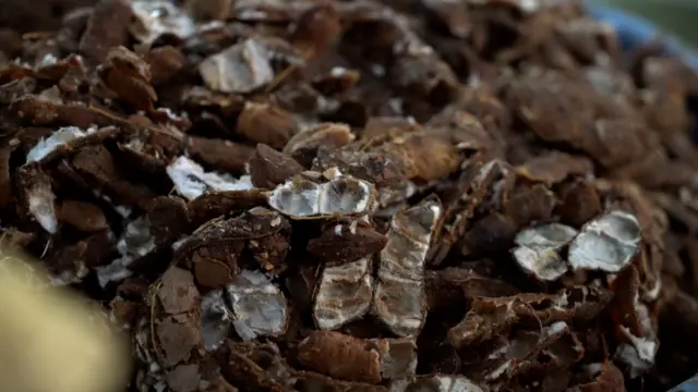 చింతపండు