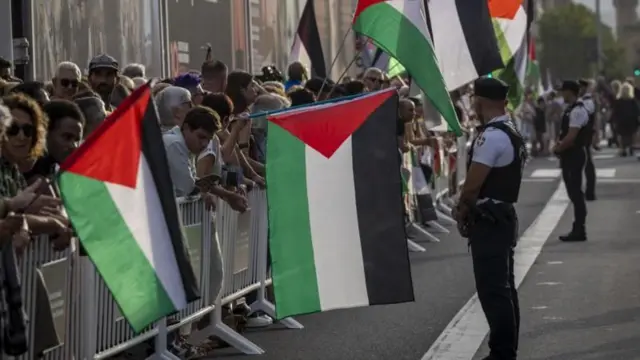 د فلسطين بيرغ