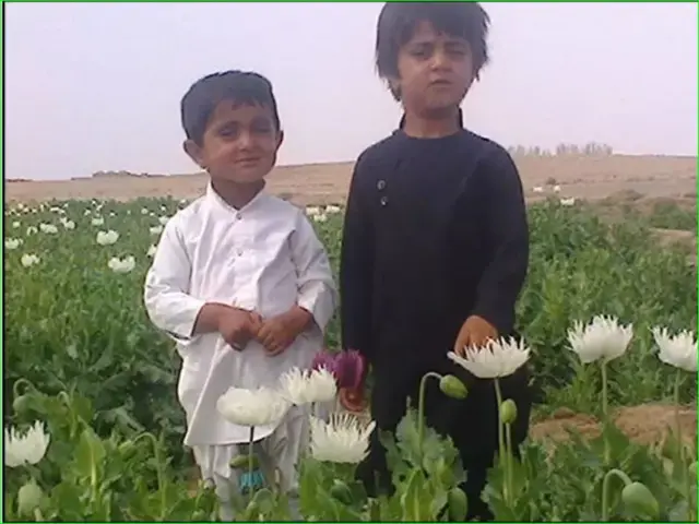 کودکان خردسال