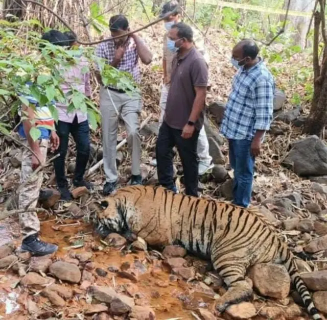 తెలంగాణ