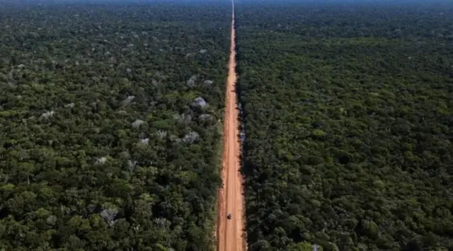 Vista aérea da rodovia BR-319 
