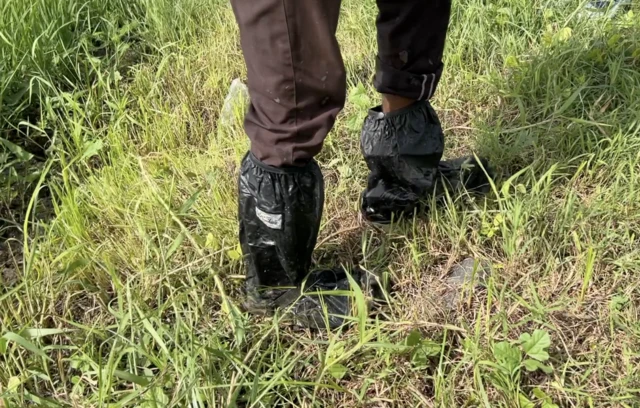 લૅપ્ટોસ્પાયરોસીસ