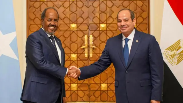 የሶማሊያ ፕሬዝዳንት ሐሰን ሼህ መሀመድ እና የግብፅ ፕሬዝዳንት አብዱልፈታ አልሲሲ ሲጨባበጡ