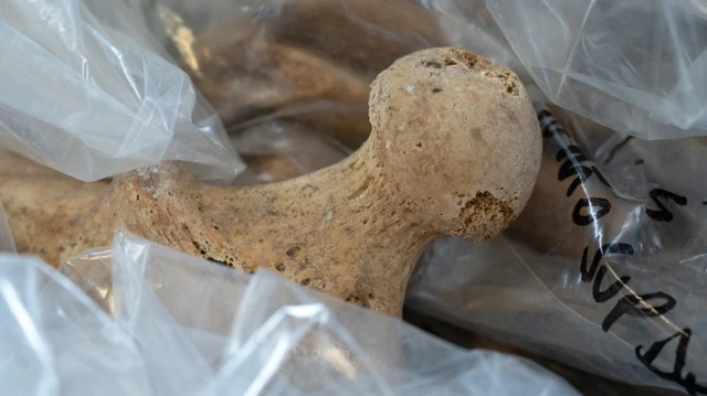 Раскопки в Помпеях