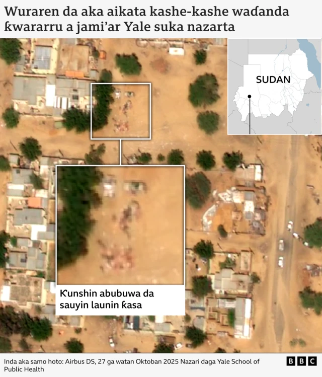 Hoton tauraron ɗan Adam da ke wasu abubuwa da suka sauya launin ƙasa