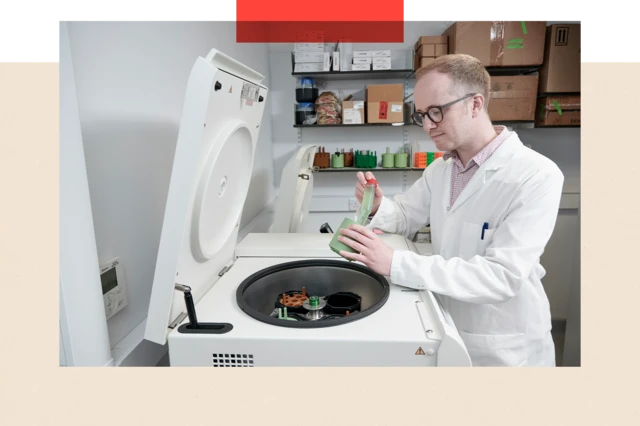 Стівен Воллес