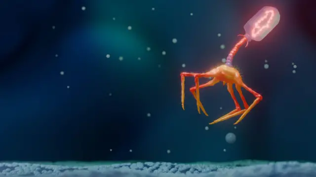 Esta imagen es una ilustración científica de un bacteriófago. El bacteriófago aparece flotando sobre una superficie texturizada, con una cabeza geométrica, una cola segmentada y múltiples estructuras delgadas similares a patas que se extienden desde su base. El virus está representado en brillantes tonos rojos, naranjas y rosas que contrastan notablemente con el fondo azul oscuro. Pequeñas partículas desenfocadas se encuentran dispersas por la escena, creando la impresión de un entorno microscópico. La composición enfatiza la forma inusual del bacteriófago y su aislamiento dentro de un entorno biológico estilizado y ampliado.