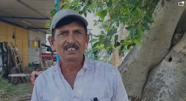 બીબીસી ગુજરાતી, ગુજરાત, મગફળી, ખેતી, ખેડૂત, ટેકાના ભાવ