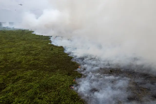 Foto udara helikopter milik BNPB terbang untuk melakukan pamadaman di lahan yang terbakar di Desa Rantau Panjang, Muaro Jambi, Jambi, Kamis (29/8/2024).