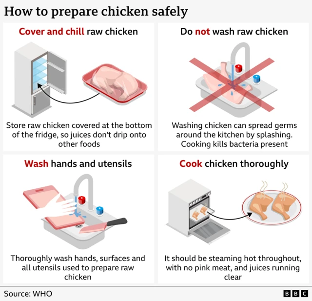 عالمی ادارہِ صحت کے مطابق چکن کو فریج کے نچلے شیلف میں رکھیں، کچا چکن نہ دھوئیں، تیاری کے بعد ہاتھ اور برتن صاف کریں اور بیکٹیریا کے خاتمے کے لیے چکن اچھی طرح پکائیں۔