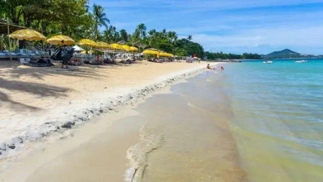 થાઈલૅન્ડ સુરત 