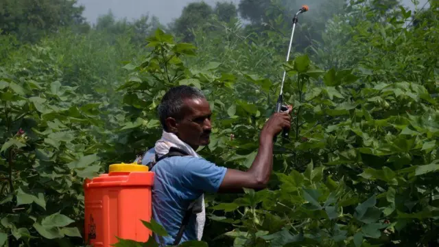 ਕੀਟਨਾਸ਼ਕ