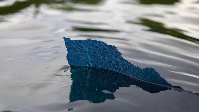 水面に、はがれた青い塗装の一部が浮かんでいる