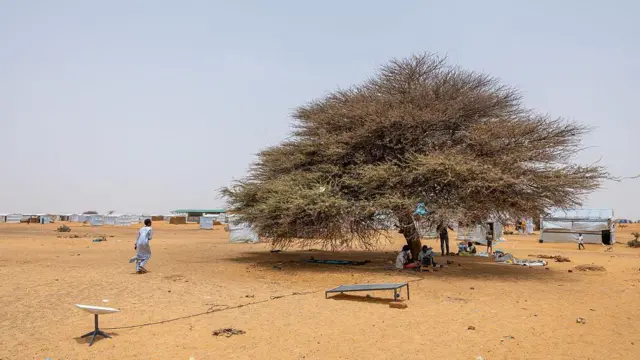 تصویری از استفاده از استالینک، چند نفر در زیر یک درخت نشسته‌اند و آنتن استارلینک در سمت راست دیده می‌شود