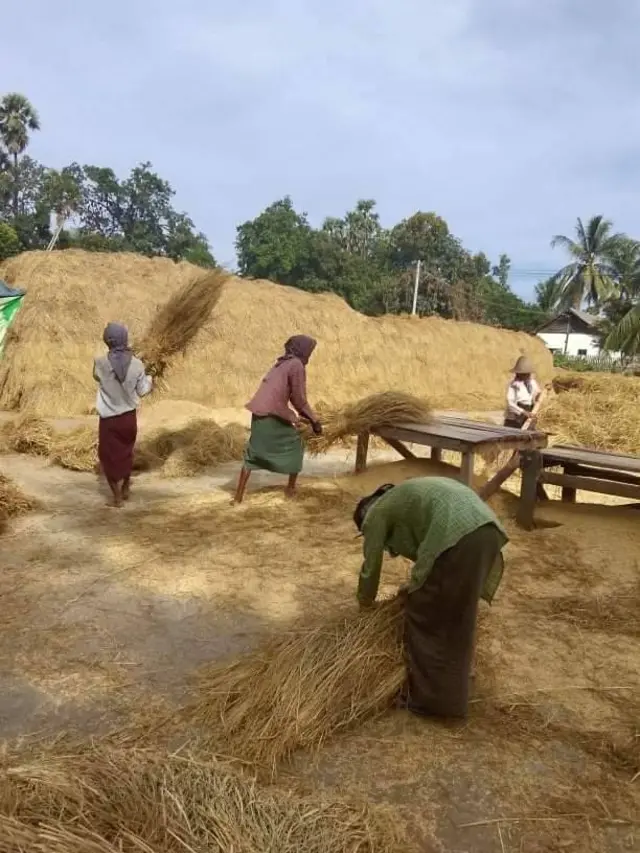 မကွေးတိုင်းထဲက ဆရာမ ဒေါ်မြသီလို ကျပန်း အလုပ်သမားတွေရဲ့ လုပ်ငန်းခွင်