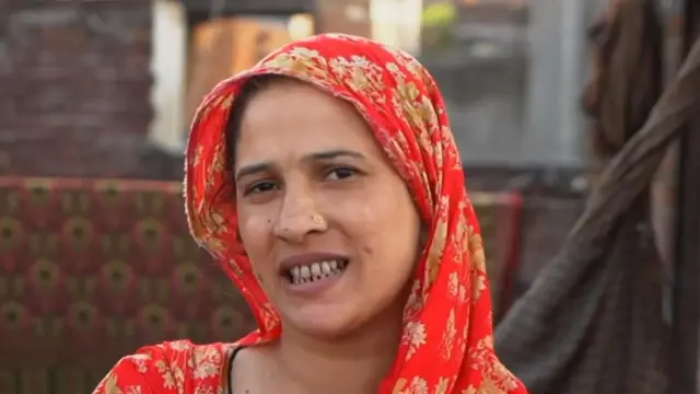પાકિસ્તાન, મીની રાજસ્થાન
