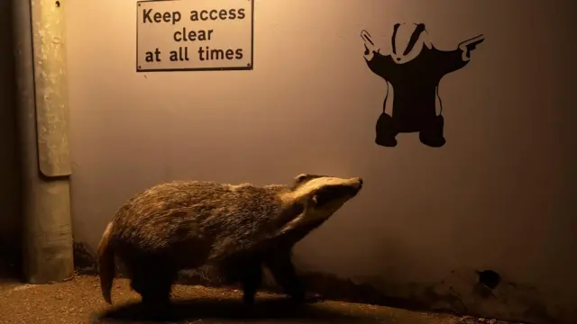 Жыныс 45 35 әйел