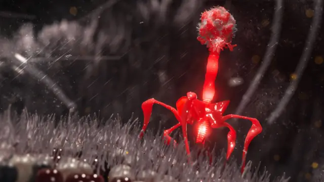 기하학적 형태의 머리와 꼬리, 여러 개의 가느다란 다리 모양 구조를 가진 박테리오파지