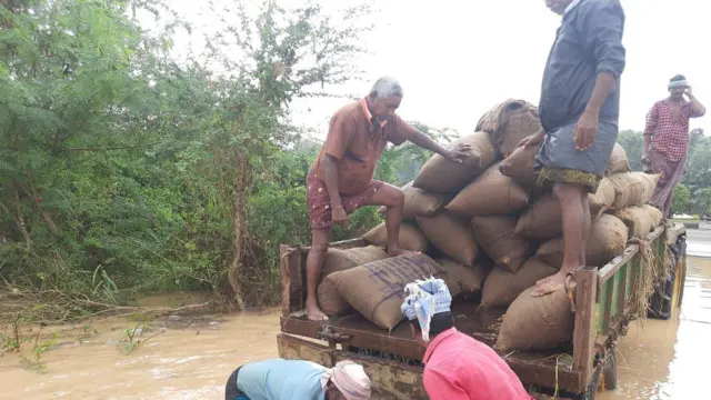 తడిసిన ధాన్యం