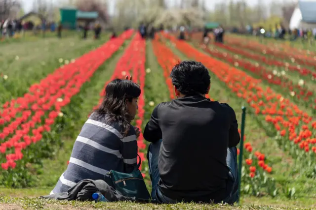 चाइल्ड फ्री दंपत्ति