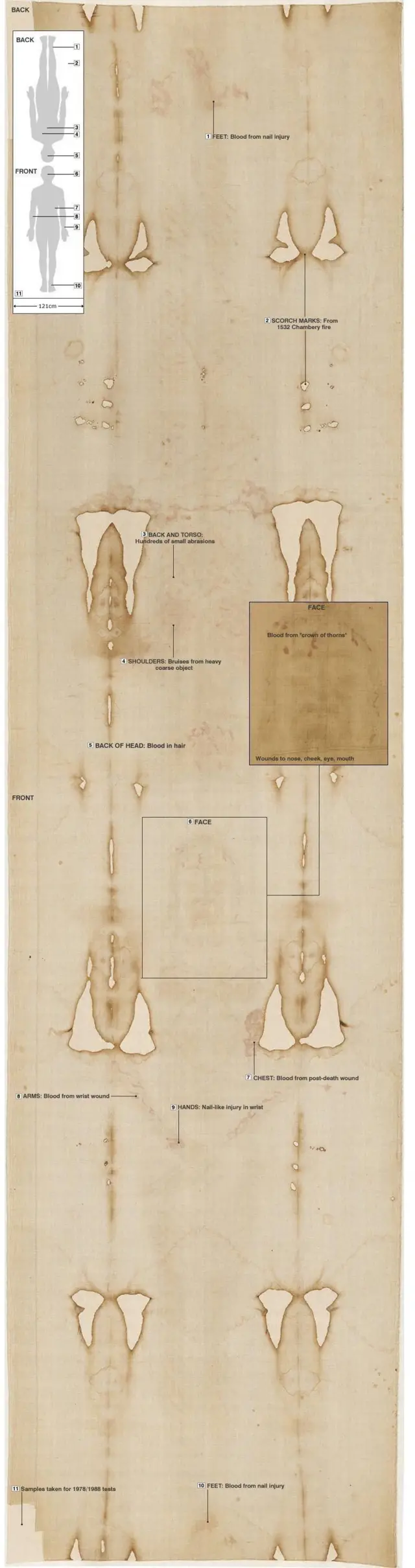 Mallattooleen fannifamu Iyyasuus waliin walfakkaatu jedhaman irratti mul'atu