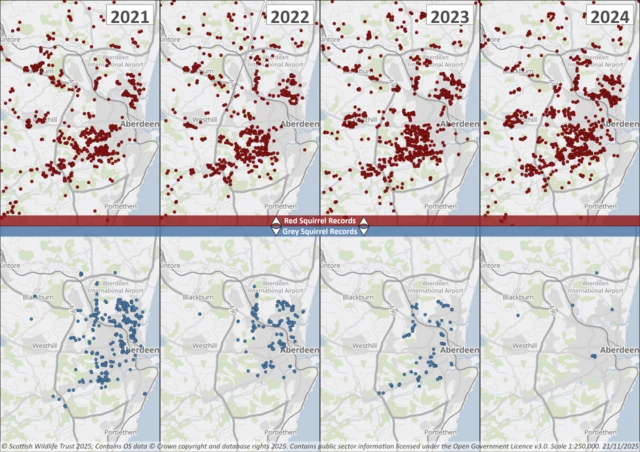 Los mapas de Aberdeen muestran puntos que representan ardillas rojas y ardillas grises; muestran que la población roja se ha fortalecido en los últimos años, mientras que la de las grises está en declive.