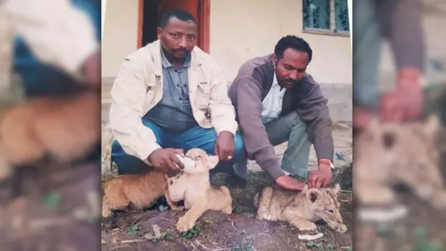 Ilmoolee leencaa yemmuu kunuunsan