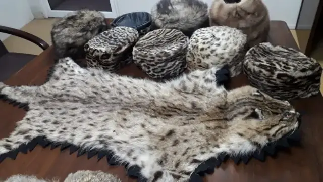 iSlamabad Wildlife Management Board
